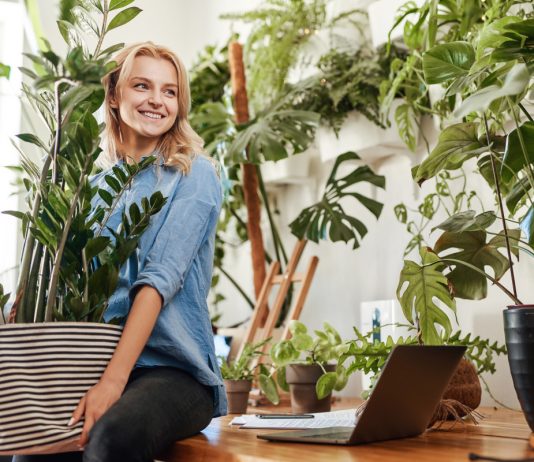 10 идеальных растений для офиса — растут без сложностей и капризов