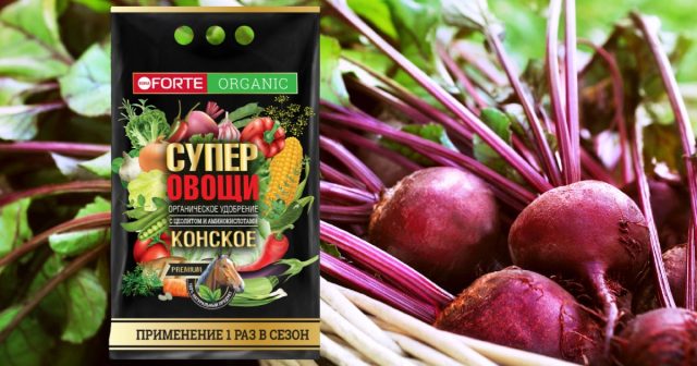 Конское премиум Bona Forte с цеолитами и аминокислотами. Конское премиум Bona Forte с цеолитами и аминокислотами.