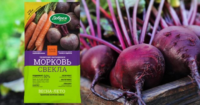 Удобрение Свёкла-Морковь Добрая сила уже содержит важные для свёклы макро-, микро- и мезоэлементы – магний, цинк, марганец и бор. Удобрение Свёкла-Морковь Добрая сила уже содержит важные для свёклы макро-, микро- и мезоэлементы – магний, цинк, марганец и бор.