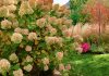 Чтобы деревья и кустарники пережили зиму — начинаем подготовку летом!