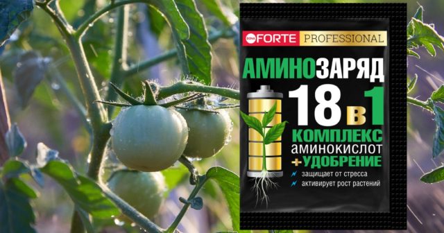 Чтобы повысить их иммунитет в стрессовом и постстрессовом состоянии рекомендуем подкормки минеральным водорастворимым удобрением Аминозаряд 18 в 1 Bona Forte. Чтобы повысить их иммунитет в стрессовом и постстрессовом состоянии рекомендуем подкормки минеральным водорастворимым удобрением Аминозаряд 18 в 1 Bona Forte.