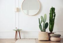 7 по-настоящему высоких кактусов для гостиной.