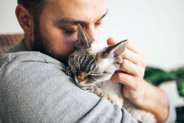 Абсолютно все котики нуждаются в ласке, хоть они порой и кажутся независимыми и отчуждёнными.