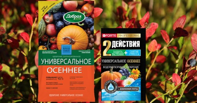 Для полноценного осеннего питания голубики мы предлагаем водорастворимое удобрение Универсальное осеннее с аминокислотами и пролонгированное удобрение Универсальное Лето-Осень Добрая сила.