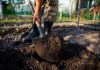 Как восстановить почву в саду и огороде к новому сезону?