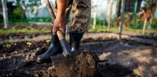 Как восстановить почву в саду и огороде к новому сезону?