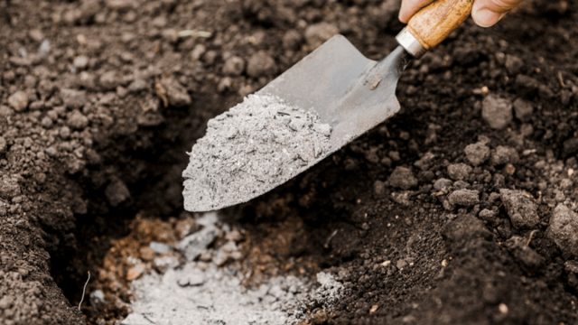 Фосфорно-калийные удобрения подойдут и многим овощным культурам, и плодовым деревьям и кустам. Фосфорно-калийные удобрения подойдут и многим овощным культурам, и плодовым деревьям и кустам.