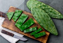 Их едят? 8 съедобных кактусов и суккулентов, которые удивят