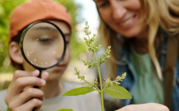 Тест: Узнаете ли вы где сорняк, а где полезное растение?
