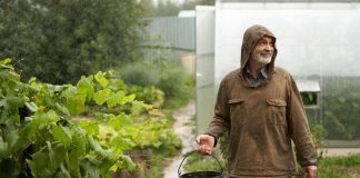 Три опасности для сада в августе — не дайте огороду погибнуть.