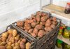 Как надолго сохранить собранные овощи и фрукты — советы для популярных культур.