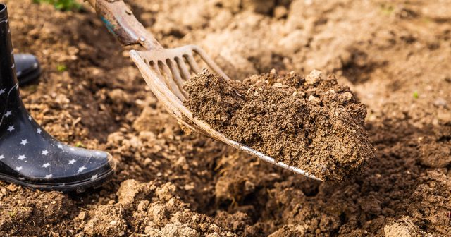 Подготовка грядок осенью — 5 шагов для богатого урожая. Подготовка грядок осенью — 5 шагов для богатого урожая.