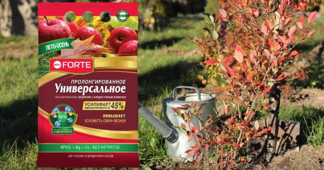 А если вы хотите дать позднее питание многолетникам, то лучше использовать гранулирование удобрение Универсальное Лето-Осень Bona Forte. А если вы хотите дать позднее питание многолетникам, то лучше использовать гранулирование удобрение Универсальное Лето-Осень Bona Forte.