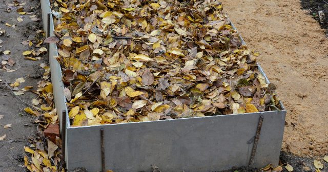 Закладывают тёплые гряды ещё до промерзания почвы, иначе процесс разложения с выделением тепла не начнётся. Закладывают тёплые гряды ещё до промерзания почвы, иначе процесс разложения с выделением тепла не начнётся.