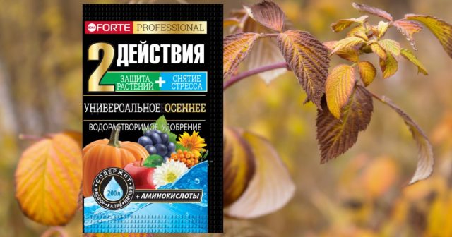 В конце лета мы рекомендуем водорастворимое удобрение Универсальное осеннее с аминокислотами Bona Forte.