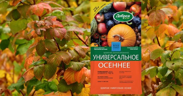 А для последней подкормки в середине сентября лучше использовать удобрение Универсальное Лето-Осень Добрая сила.