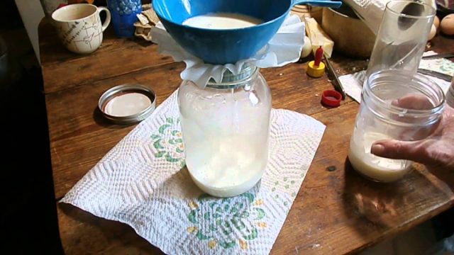 Многие начинающие скотоводы упускают такой важный момент, как фильтрация молока. Владельцам коров нужно запастись лавсановыми фильтрами и мешками или самой обычной марлей. © Ann's Mini Homestead Многие начинающие скотоводы упускают такой важный момент, как фильтрация молока.