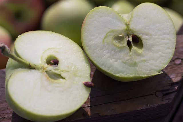 Плоды синапа орловского крупные, 120–150 г, золотисто-зелёные с румянцем. Мякоть зеленоватая, сочная, кисло-сладкая, вкус улучшается при хранении Плоды синапа орловского крупные, 120–150 г, золотисто-зелёные с румянцем. Мякоть зеленоватая, сочная, кисло-сладкая, вкус улучшается при хранении