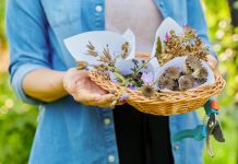 8 причин, почему цветы стоит сеять под зиму 8 причин, почему цветы стоит сеять под зиму