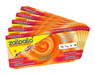 Не бойтесь устанавливать клеевые ловушки Zalipallo вблизи мест хранения продуктов – это абсолютно безопасно. Не бойтесь устанавливать клеевые ловушки Zalipallo вблизи мест хранения продуктов – это абсолютно безопасно.