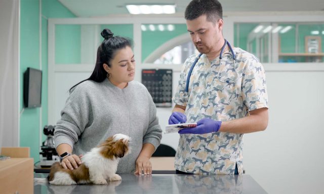 Чтобы избежать появления у любимца страхов, очень важно правильно организовать самые первые визиты в ветклинику.