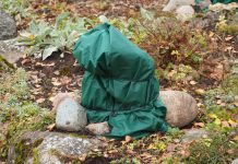 Что вы могли не знать о зимовке растений — создаем идеальные условия Что вы могли не знать о зимовке растений — создаем идеальные условия.