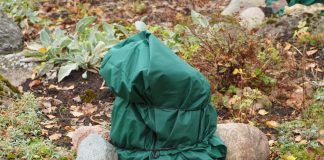 Что вы могли не знать о зимовке растений — создаем идеальные условия.