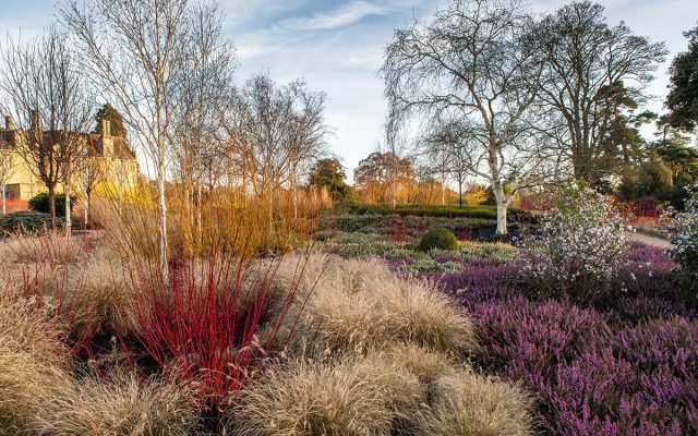Большинство садовых многолетников вполне обходятся своими силами.