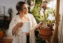 6 эффектных растений с каудексом — уникальные формы, простой уход
