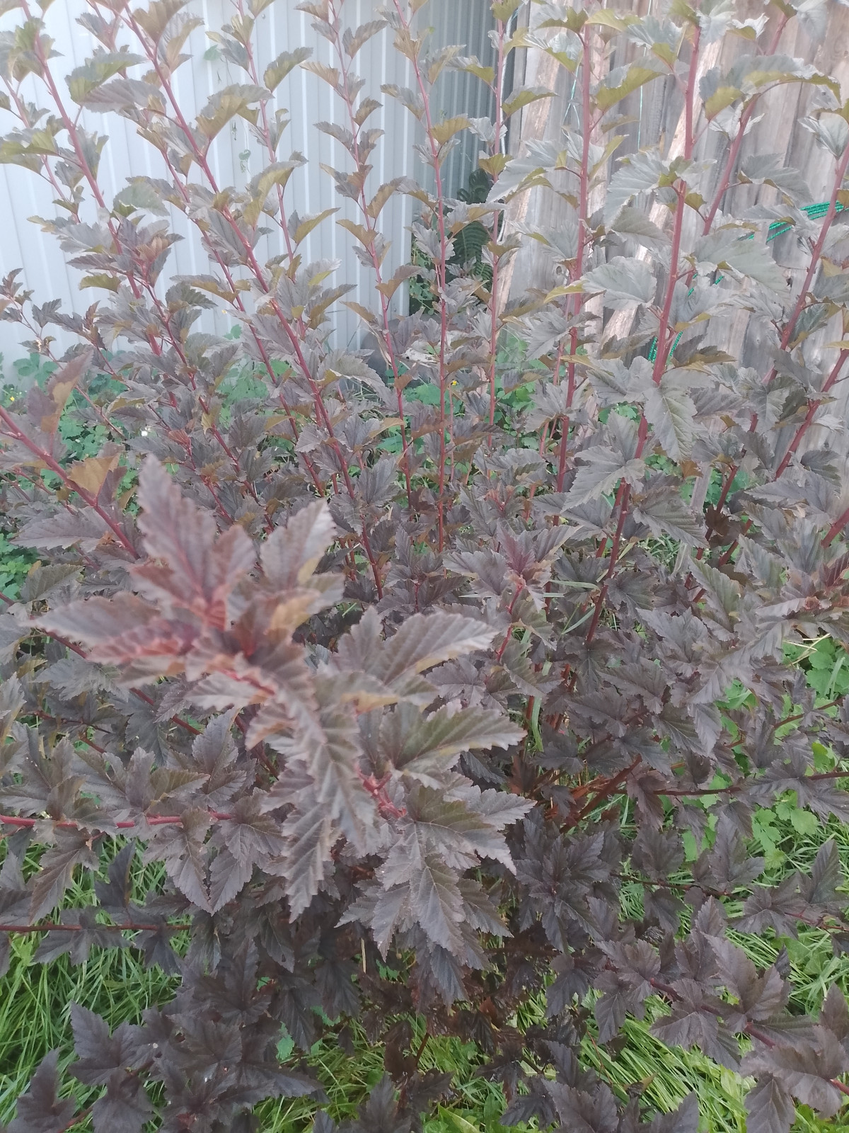 img_20250910_164950_563