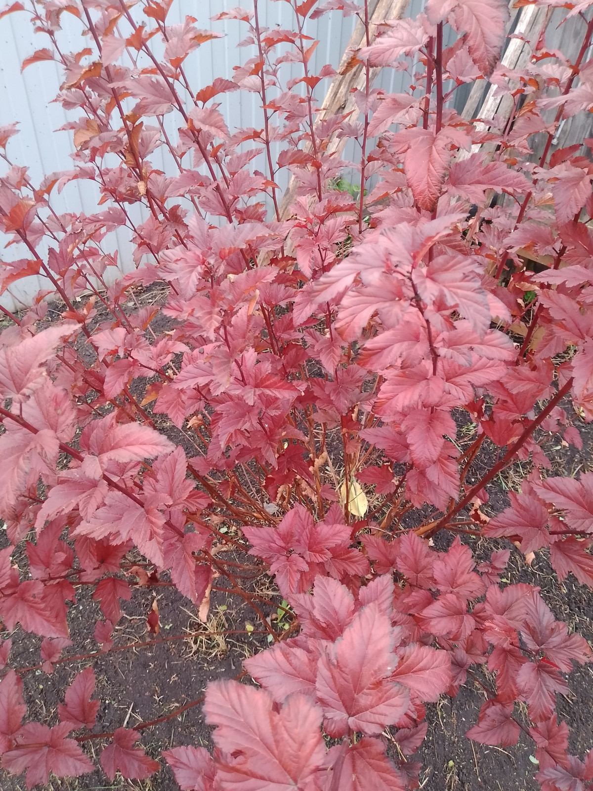 img_20251018_155107_590