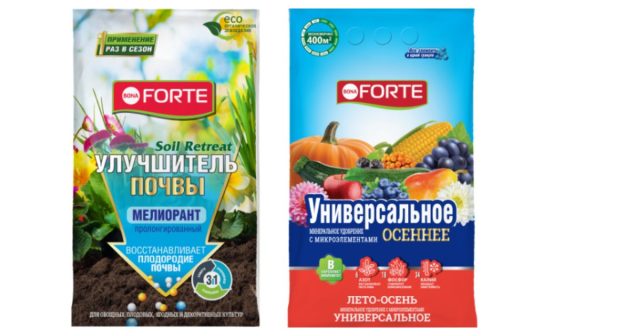 Если грунт не очень хороший (лёгкий, тяжёлый, бедный, засолённый) внесите почвоулучшитель на основе цеолита Soil Retreat Мелиорант пролонгированный Bona Forte. Если грунт не очень хороший (лёгкий, тяжёлый, бедный, засолённый) внесите почвоулучшитель на основе цеолита Soil Retreat Мелиорант пролонгированный Bona Forte.