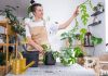 Озеленение стен без вреда для ремонта — варианты для лазящих культур