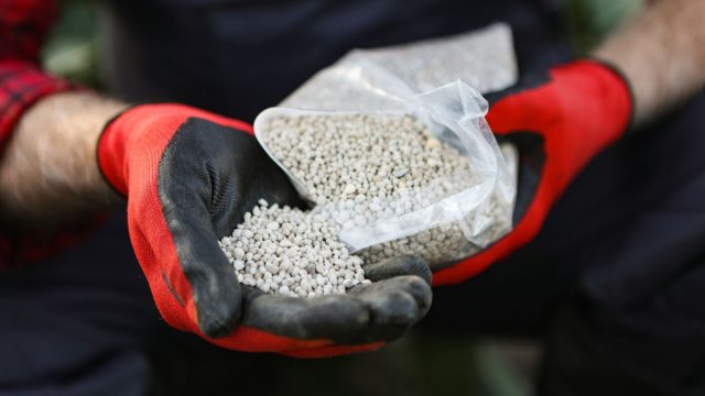 При неправильной утилизации прямое воздействие садовых химикатов может представлять серьёзную опасность для здоровья людей, вызывая раздражение кожи, проблемы с дыханием и потенциально более серьёзные последствия. При неправильной утилизации прямое воздействие садовых химикатов может представлять серьёзную опасность для здоровья людей, вызывая раздражение кожи, проблемы с дыханием и потенциально более серьёзные последствия.