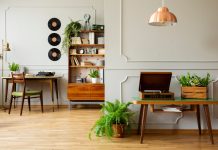 Растения-винтажи: какие цветы были в каждом советском доме и почему?