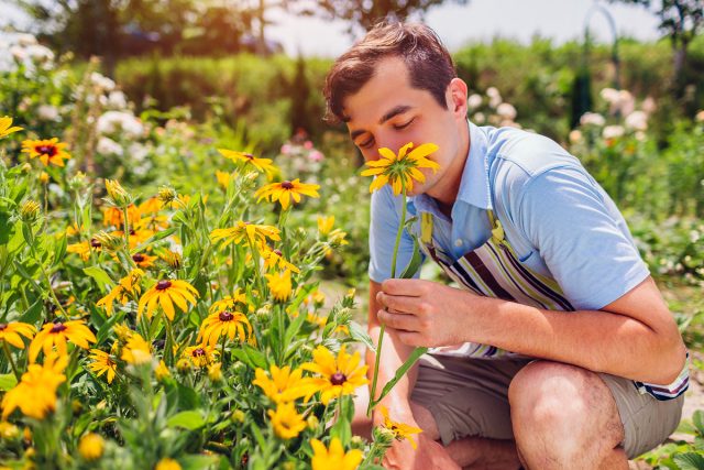 Мой результат: Садовник на полставки Мой результат: Садовник на полставки