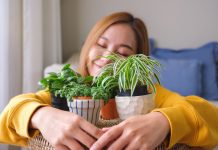 Узнай своё растение по знаку зодиака. 100% гид
