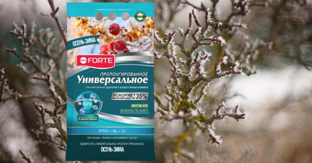 Более «продвинутый» вариант — удобрение гранулированное пролонгированное УНИВЕРСАЛЬНОЕ осень-зима Бона Форте.