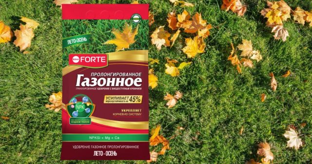 Так, в удобрение Газонное Лето-Осень Bona Forte основные элементы – NPK входят в пропорции 2:8:12, и это оптимальное сочетание для злаковых трав в конце сезона.