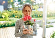 12 комнатных растений, которые приносят удачу и счастье в дом