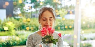 12 комнатных растений, которые приносят удачу и счастье в дом