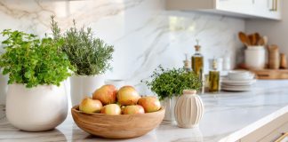 5 полезных трав для комнатного выращивания.