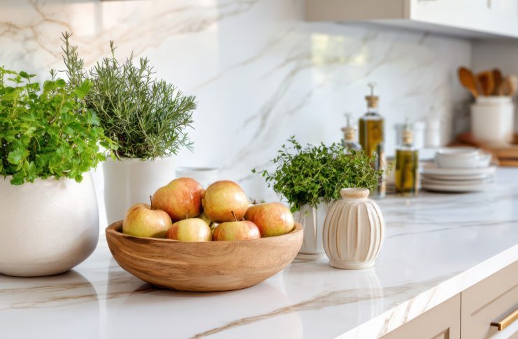 5 полезных трав для комнатного выращивания 5 полезных трав для комнатного выращивания.