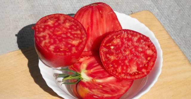 Плоды томата Будёновка в разрезе