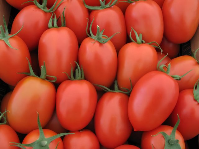 Очень устойчивый гибрид для открытого грунта: спокойно переносит жару, засуху и перепады погоды. Плоды плотные, ровные, хорошо держат форму и идеально подходят для засолки. Урожай созревает дружно и подходит для больших заготовок.