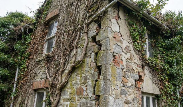 Разрушительный потенциал лиан проще всего оценить на старых и заброшенных постройках. Здесь хорошо видно, как растения, оставленные без присмотра, превращаются в природные тиски: их корни и стволы проникают в структуру стены и с годами буквально «разбирают» дом по кирпичику. Разрушительный потенциал лиан проще всего оценить на старых и заброшенных постройках. Здесь хорошо видно, как растения, оставленные без присмотра, превращаются в природные тиски: их корни и стволы проникают в структуру стены и с годами буквально «разбирают» дом по кирпичику.