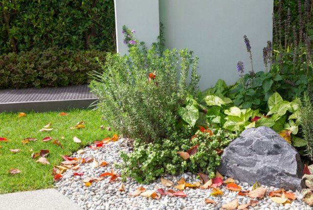 Гравийная клумба хороша до первой осени. Листовой мусор тонет в камне, появляются сорняки, грунт проседает, и всё приходится разбирать слоями. Поддержание чистоты — это постоянная и довольно трудоёмкая работа. Гравийная клумба хороша до первой осени. Листовой мусор тонет в камне, появляются сорняки, грунт проседает, и всё приходится разбирать слоями. Поддержание чистоты — это постоянная и довольно трудоёмкая работа.