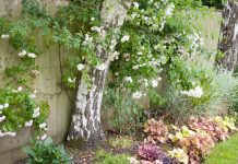 8 ландшафтных решений, о которых в итоге жалеет большинство дачников