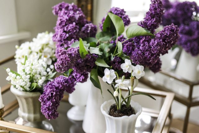 Чтобы увеличить срок жизни веток, поместите их в прохладное место, избегая прямого солнечного света и близости к источникам тепла, поскольку избыточное тепло может ускорить увядание.