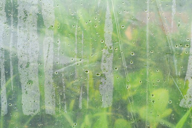 Конденсат — постоянный спутник плёнки. Капли воды собираются на листьях, что для огурцов не страшно, а для томатов и перца может быть губительно, провоцируя болезни и замедляя рост.